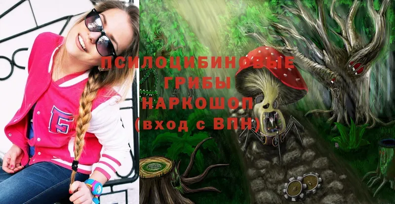 Псилоцибиновые грибы MAGIC MUSHROOMS Курильск